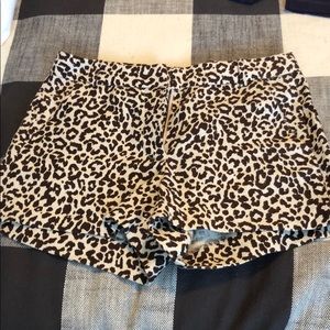 Animal Print Shorts, JCrew, Size 4